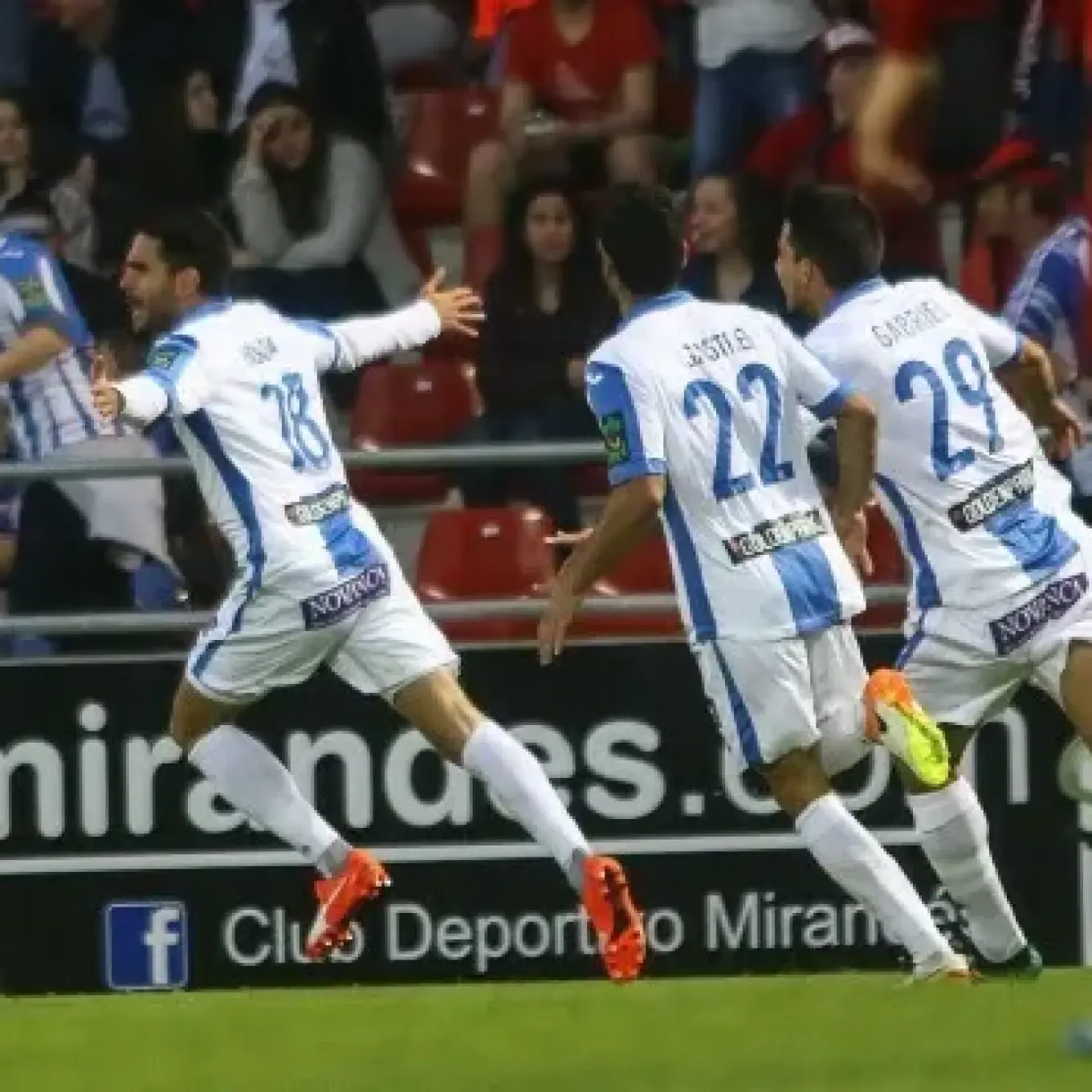 Insua